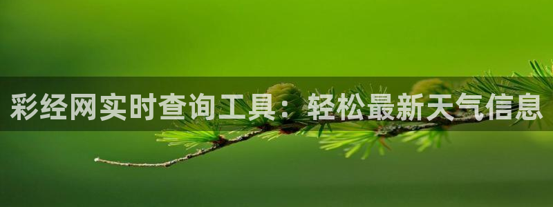 28圈加拿大app预测：彩经网实时查询工具：轻松最新天气信息