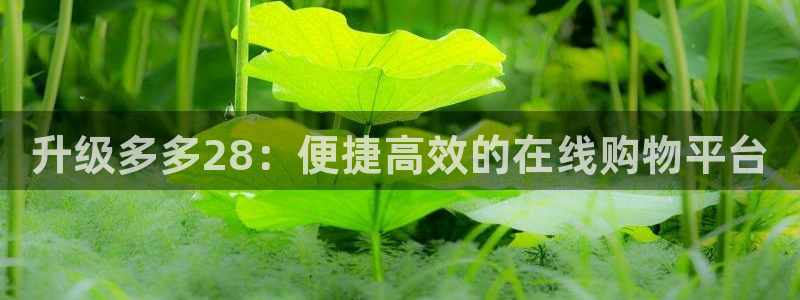 28圈账号注册入口：升级多多28：便捷高效的在线购物平台