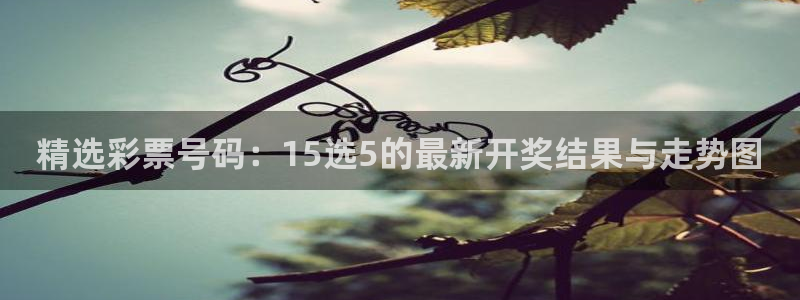 28圈体育网页版入口：精选彩票号码：15选5的最新开奖结果与走势图