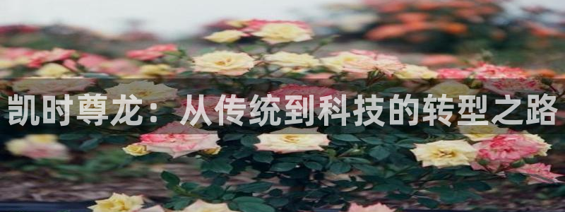 28圈体育3：凯时尊龙：从传统到科技的转型之路