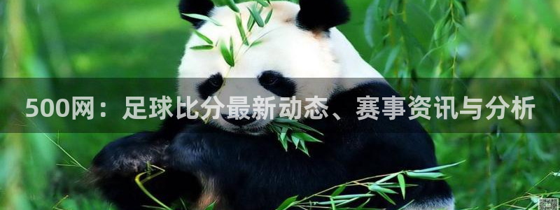 28圈体育代理：500网：足球比分最新动态、赛事资讯与分析